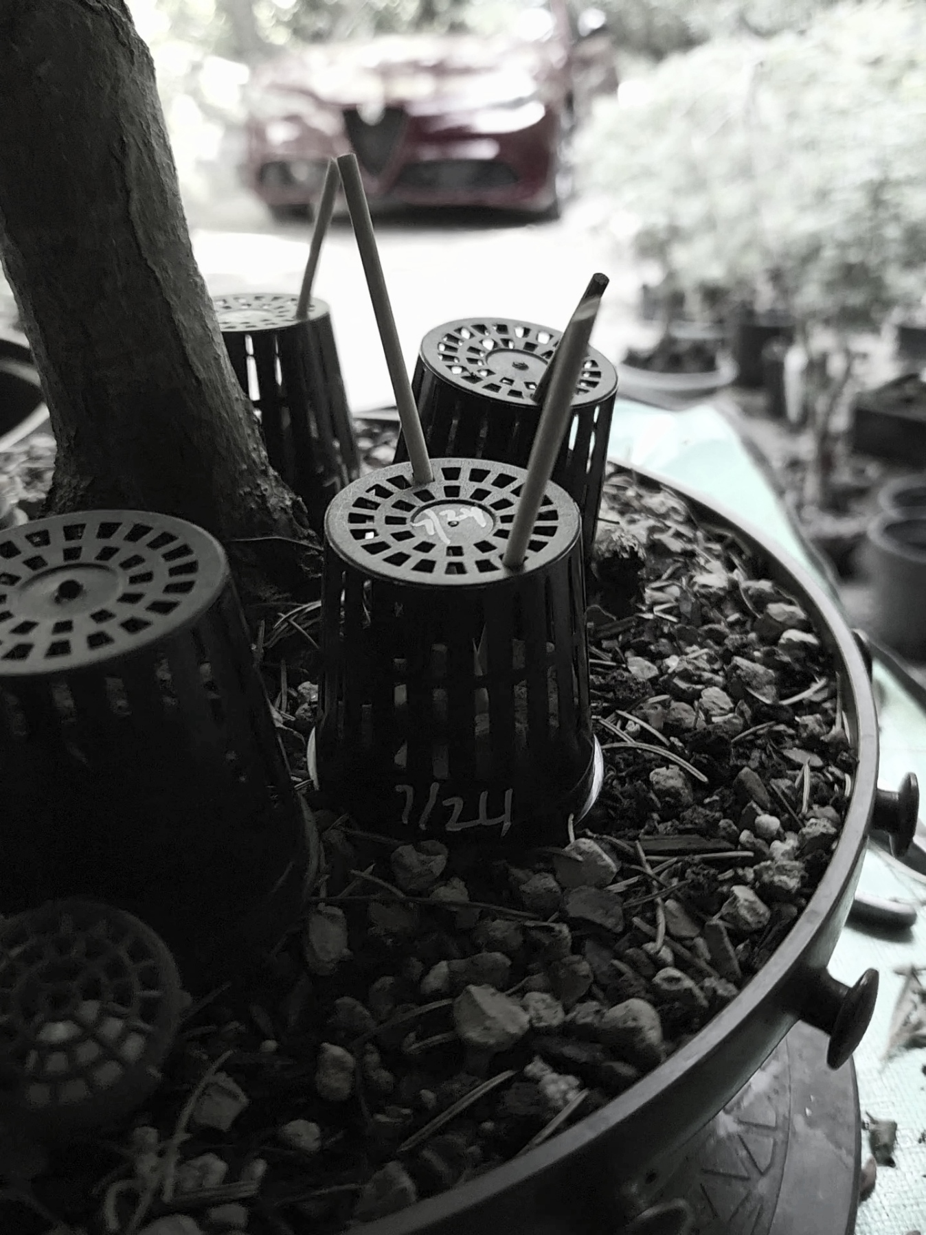 Net pots upside down
