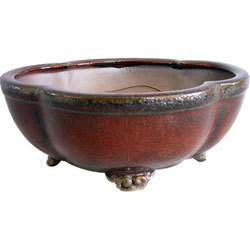 Yixing red clay pot Bonsai Vision