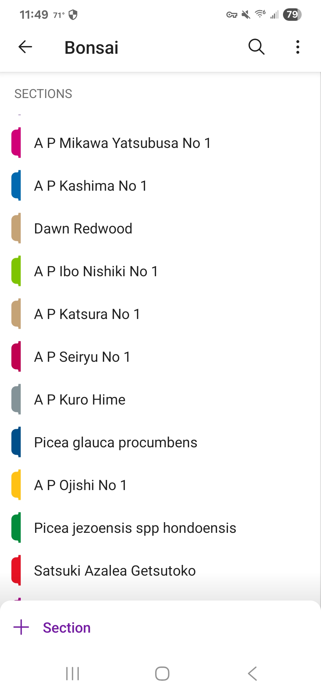 A simple, effective way to document and track your bonsai
