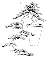 Cascade Cascade style