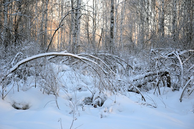 Cold Weather and winter chores