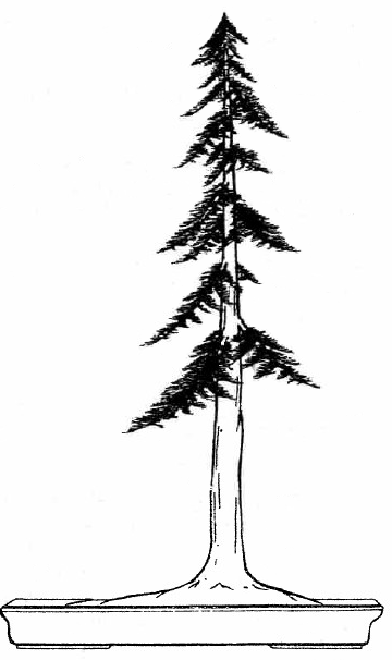 Bonsai Styles