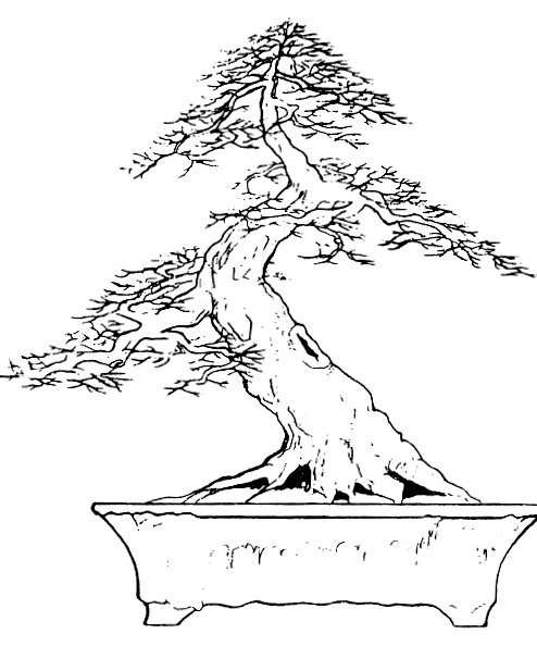 Informal Upright Informal Upright style