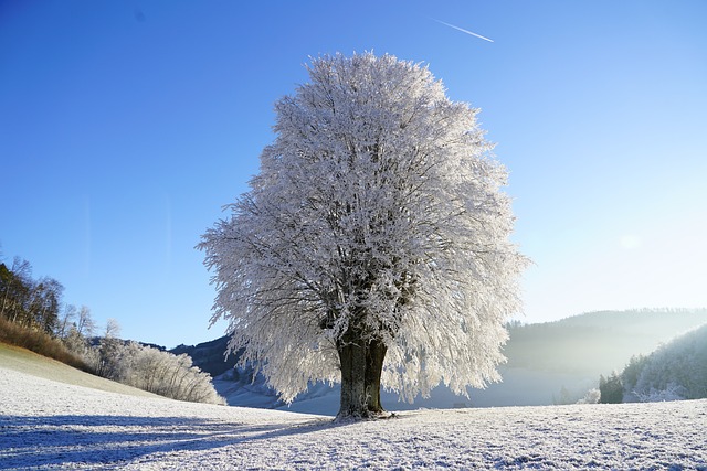 Winter Care