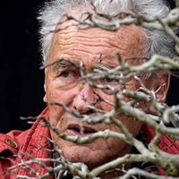 THE MEANING OF BONSAI: TRADITION AND THE JAPANESE ESTHETIC | Discuss Japan－Japan Foreign Policy Forum