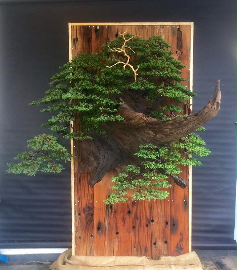 A Bonsai Festival to Get Excited About – We Hope to See You There | Bonsai Bark