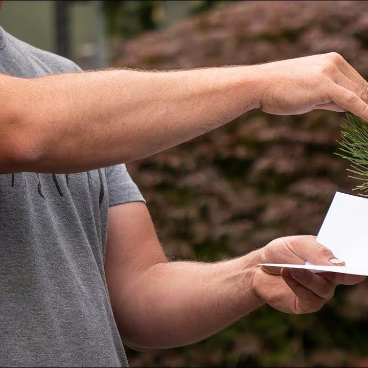 Just finished this sweet feature on Spider Mite