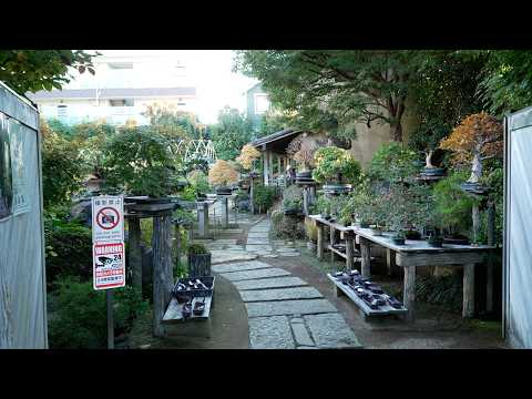 Fuyo-en bonsai nursery in Omiya Bonsai Village, Japan