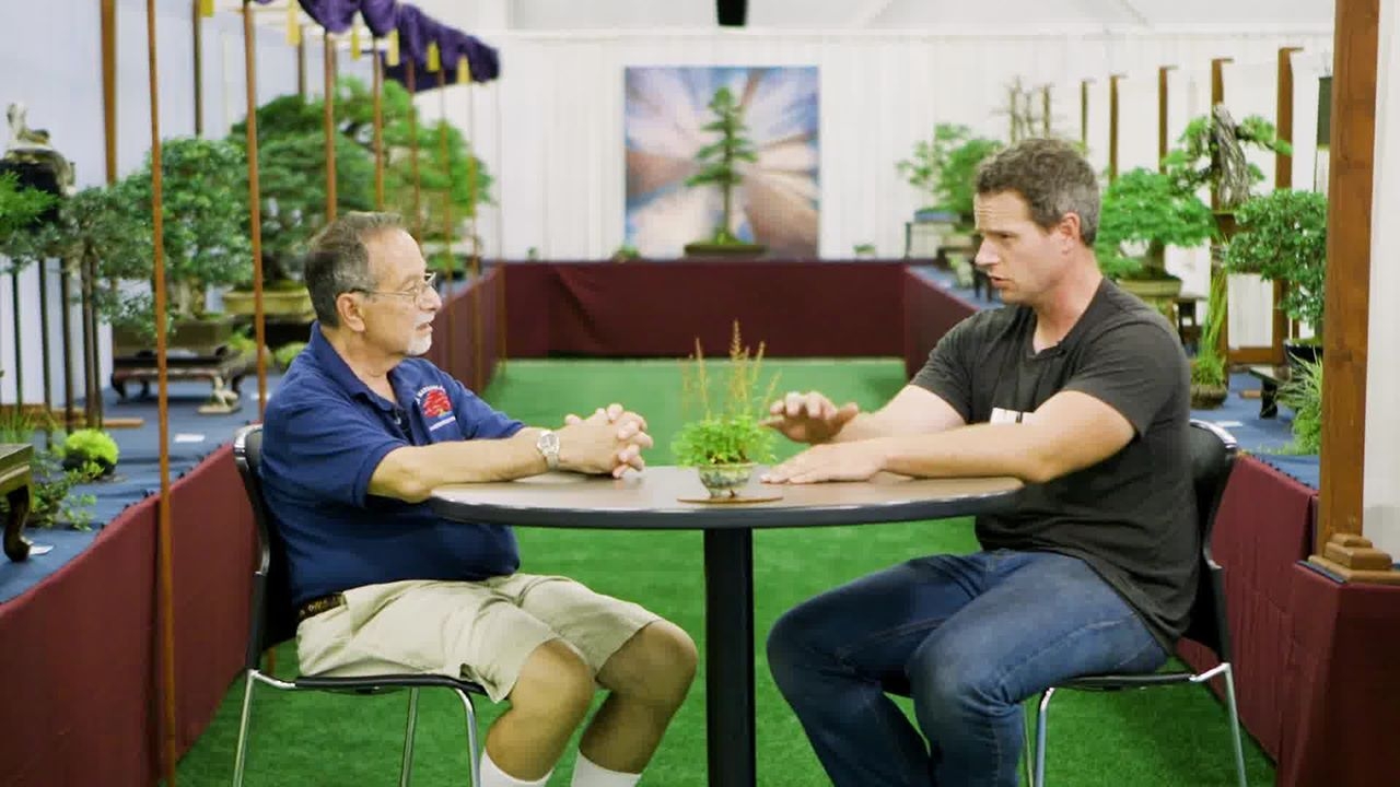 Bill Valavanis has devoted his life to bonsai.