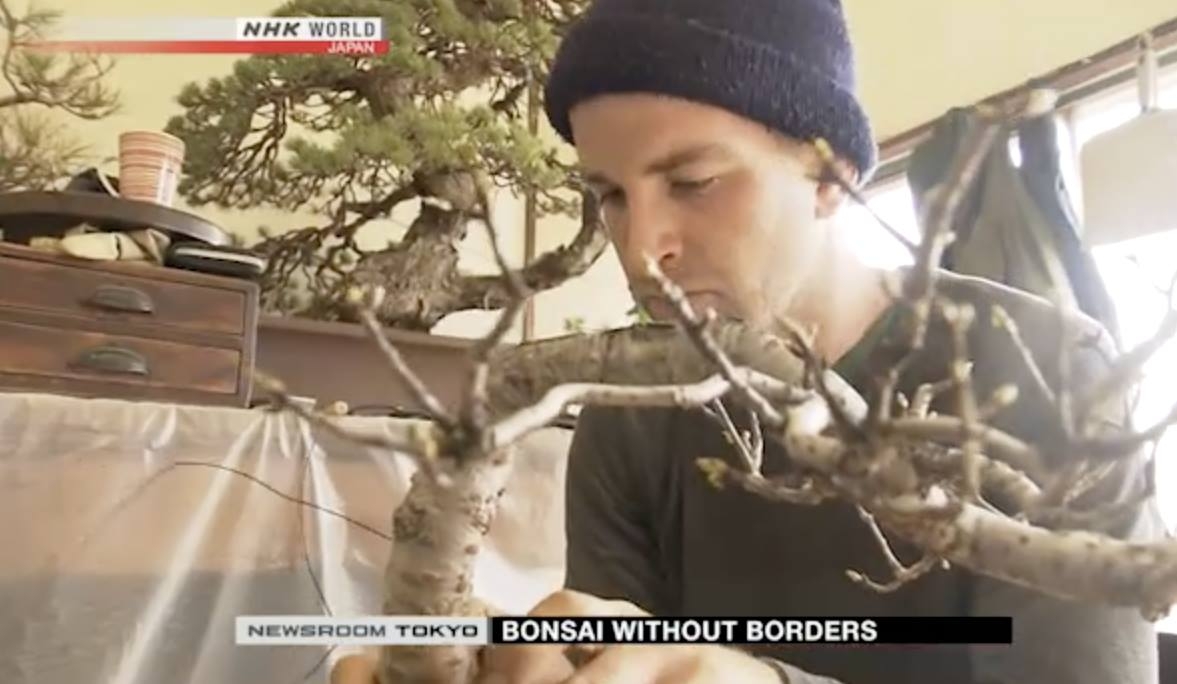 Bonsai without borders - NEWSROOM TOKYO - TV - NHK WORLD - English