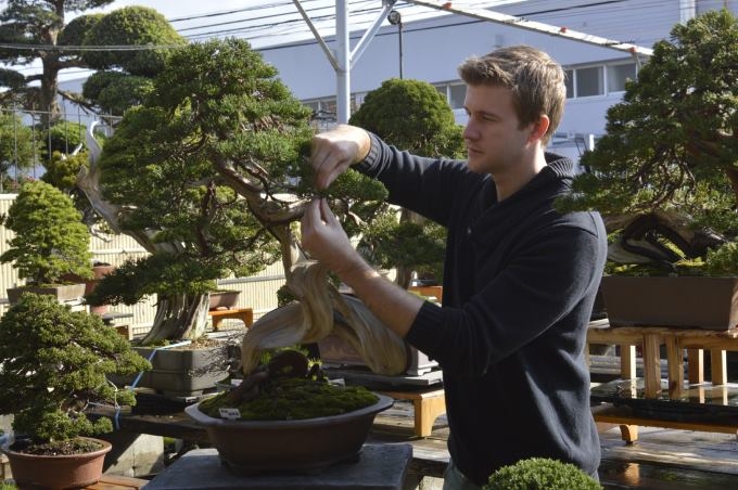 Michael Hagedorn’s Review of Bonsai Empire’s Advanced Course | Bonsai Bark