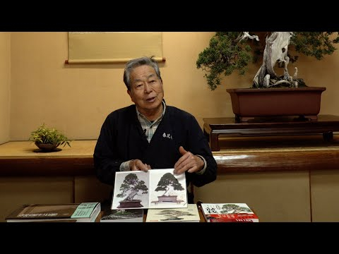 Bonsai techniques: Bonsai display developments (Keido) by Kunio Kobayashi
