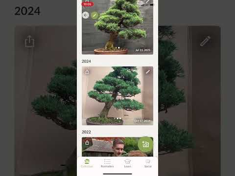 Bonsai Care App walkthrough