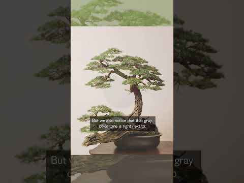 Bonsai Ceramics Primer. #shorts