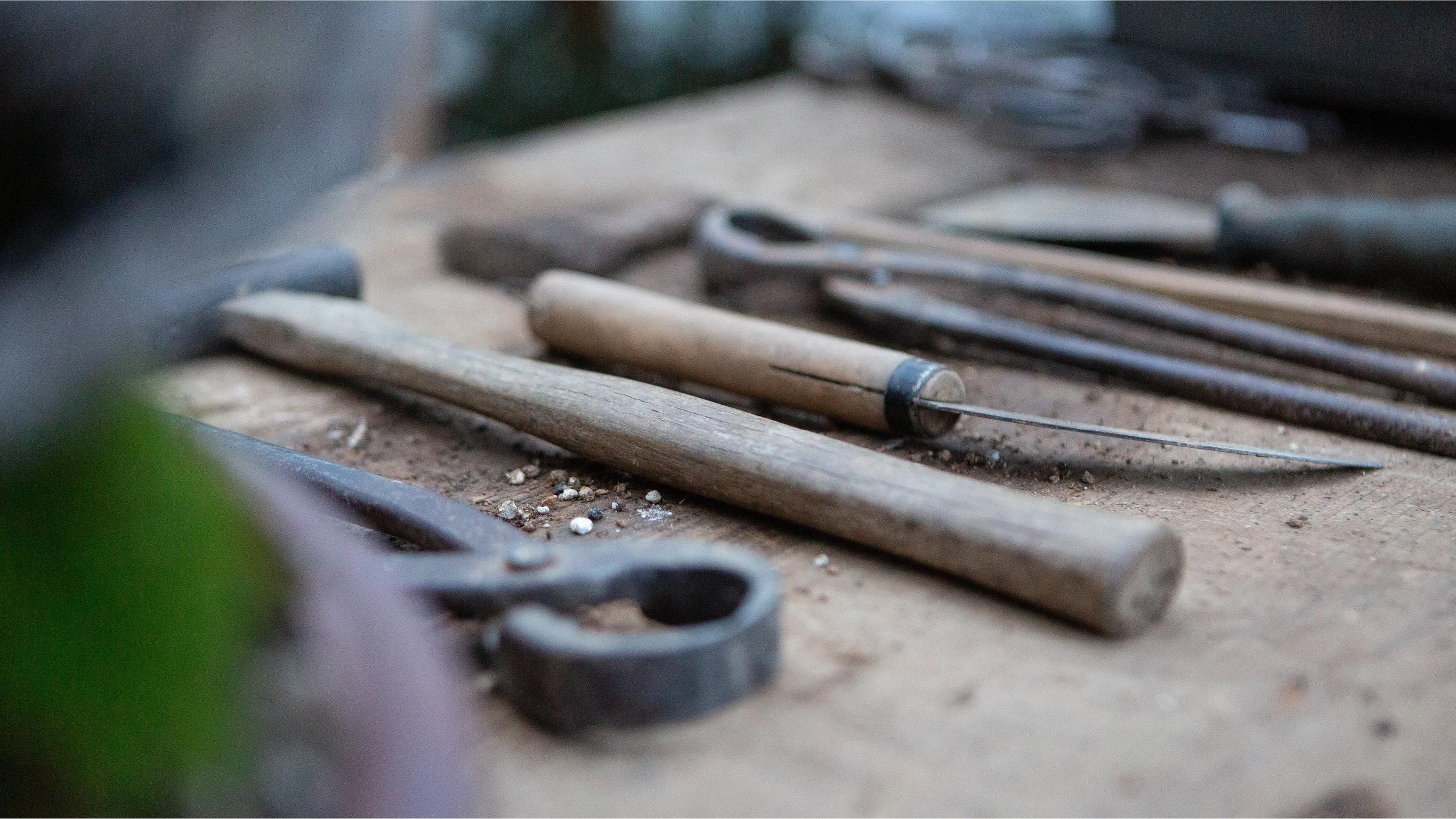 5 Most Important Repotting Tools | Bonsai Mirai