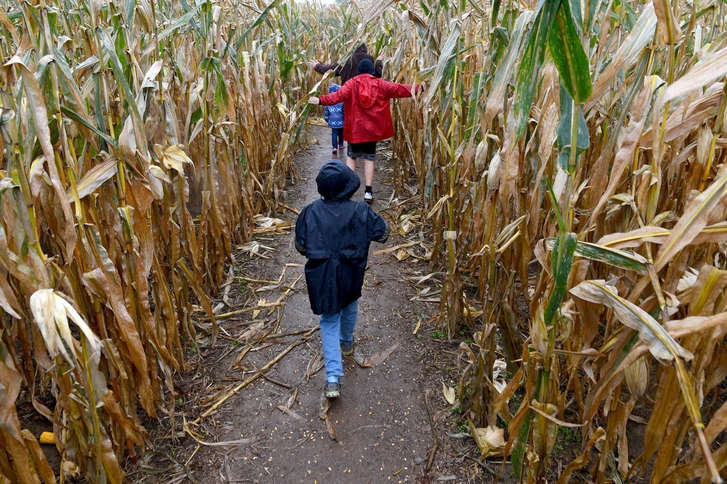 How to have the best fall ever in D.C., from picking apples to drinking cider