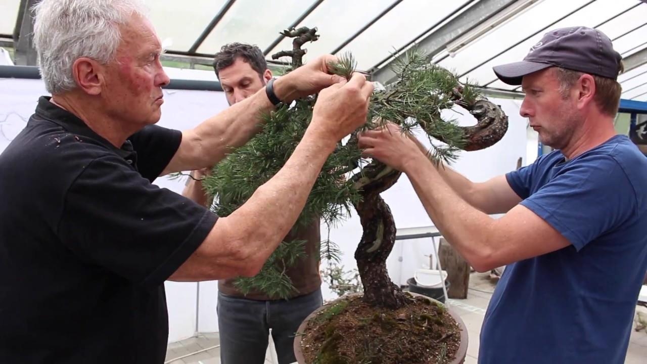 Walter Pall styled this tree at the Generation