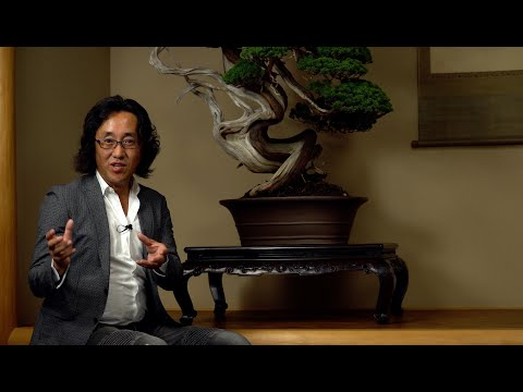 Suzuki Masterclass trailer