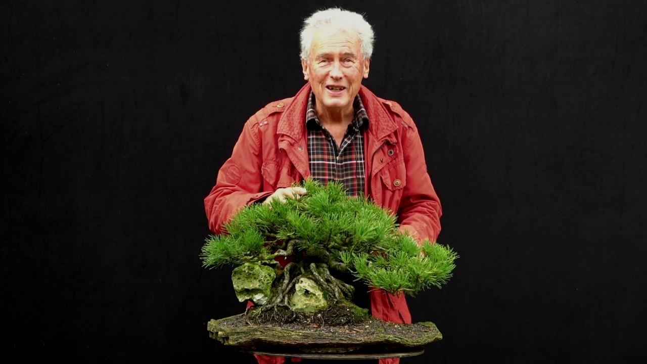 Tree talks with one and only Walter Pall. Part 3