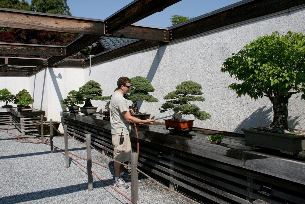 ACTIVE | National Arboretum/USDA