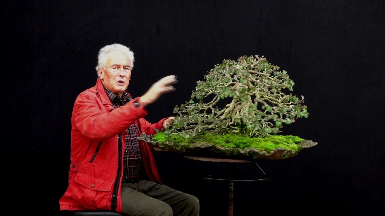 Tree talks with one and only Walter Pall. Part 1