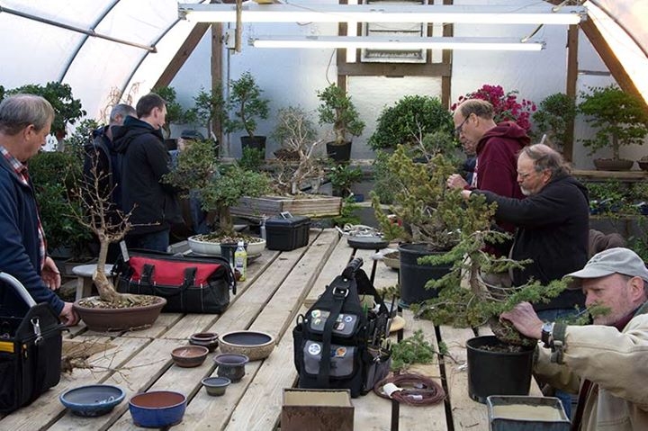 Some glimpses into the workshop at Hidden Gardens