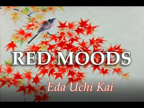 An impression of the Eda Uchi Kai show