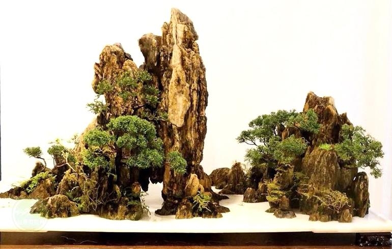 More Impressive Works of Imagination & Skill | Bonsai Bark