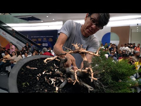 Koji Hiramatsu Bonsai demo
