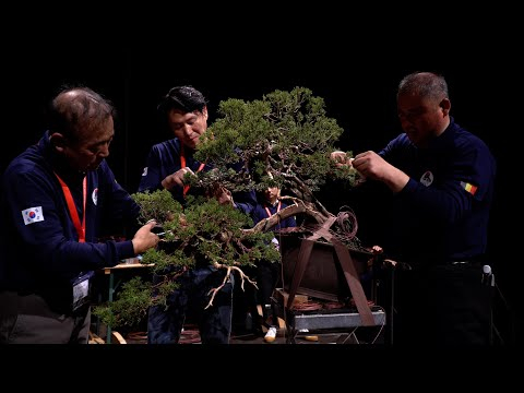 Bonsai Demo by Lee Cheol Ho and Choi Song Ho