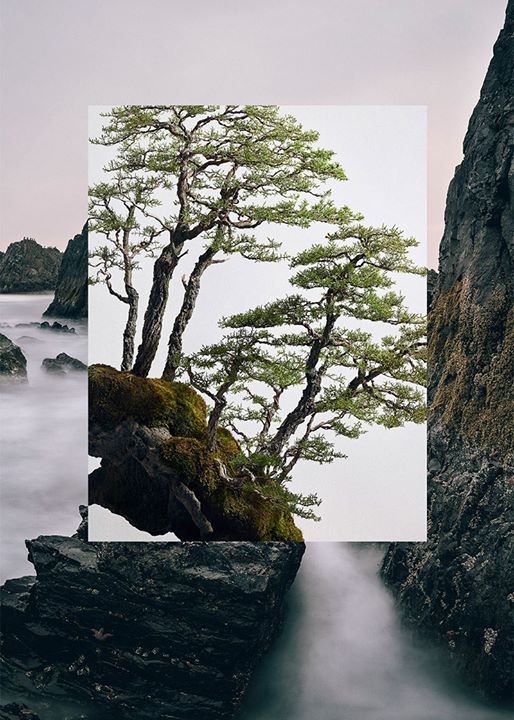 Create #bonsai that reflects an environment. Build