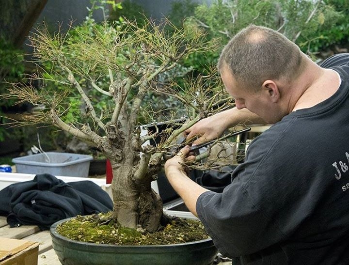 Dan Turner at work at Hidden Gardens near Chicago