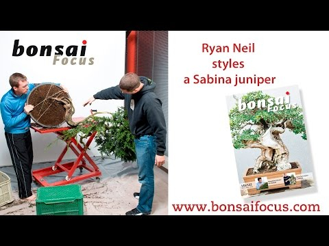 RYAN NEIL DEMO ON SABINA