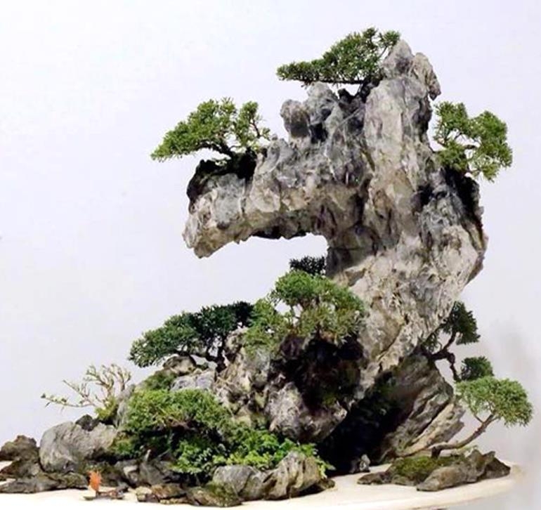 Attention to Detail, Skill and Precision | Bonsai Bark