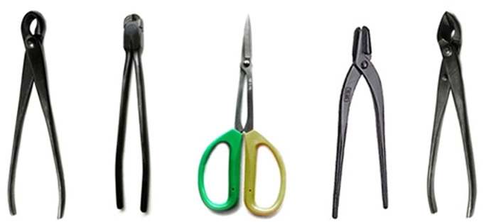 40% off Bonsai Tool Special Ends Sunday Night | Bonsai Bark