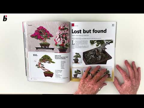 The May /June issue Bonsai Focus