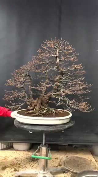 https://t.co/O9L9imvm5J