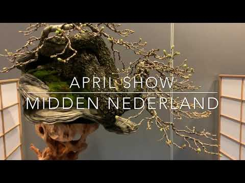 April Show Midden Nederland