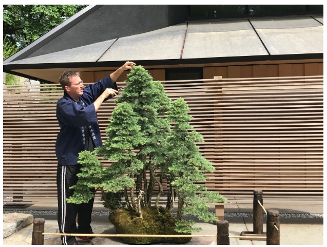 Museum Hosts “Irreverent Bonsai Monk” Michael Hagedorn for World Bonsai Day