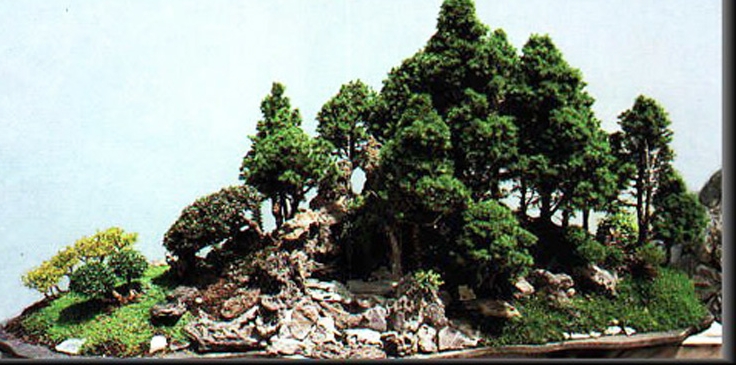 Challenges All Their Own – Mixed Bonsai Forests | Bonsai Bark
