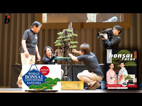 Masahiko Kimura likes Green T