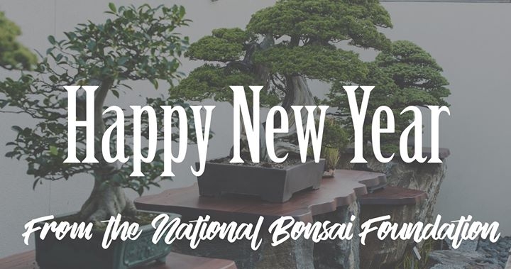 Happy New Year from all of us at the National