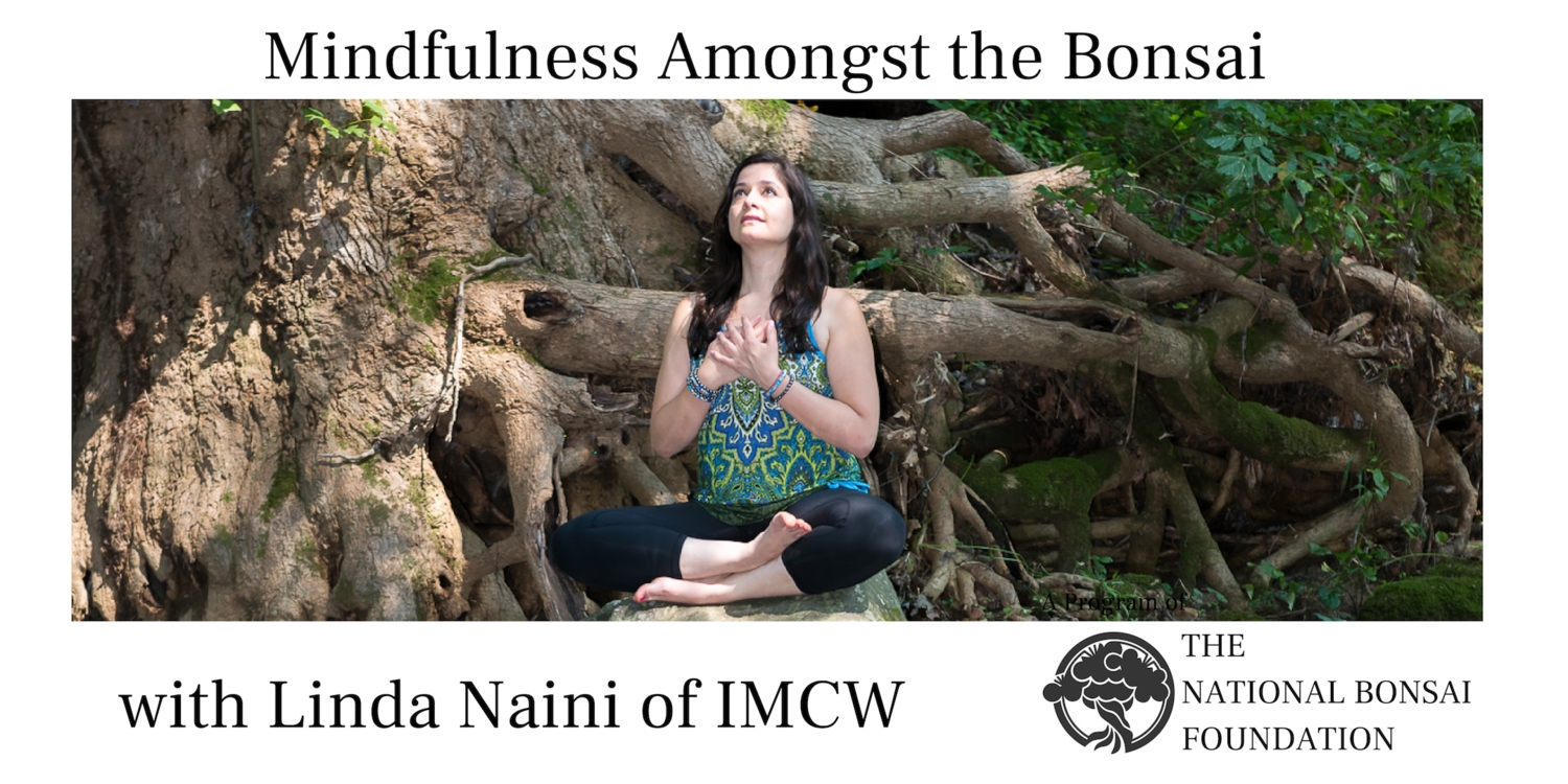 Mindfulness Amongst the Bonsai with Linda Naini of IMCW