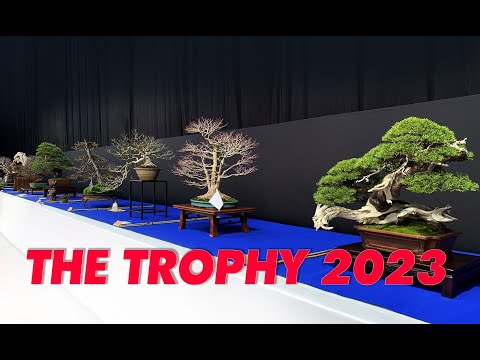 The Trophy 2023