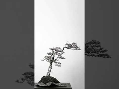 Natural landscapes crafted on stone #shorts