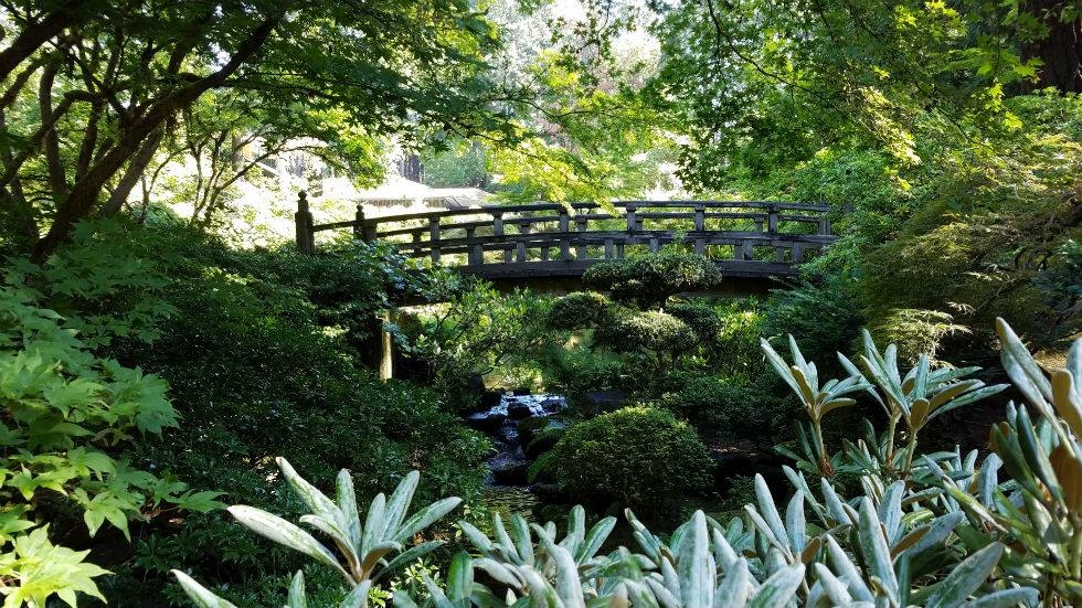 Museum Gardener Erin Holder attends Japanese garden seminar | National Bonsai Foundation