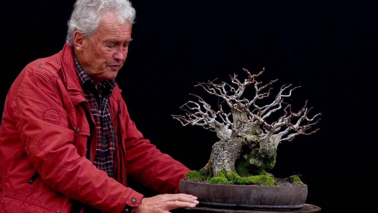Little special tree...'The Pig' Also called Johnny