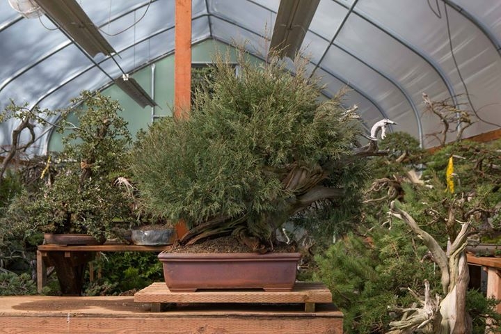 Got out into the sun and the greenhouse today!