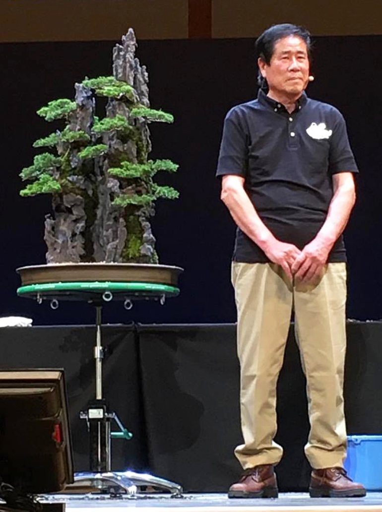 Green T & Bonsai Wire Specials Ends Tonight | Bonsai Bark
