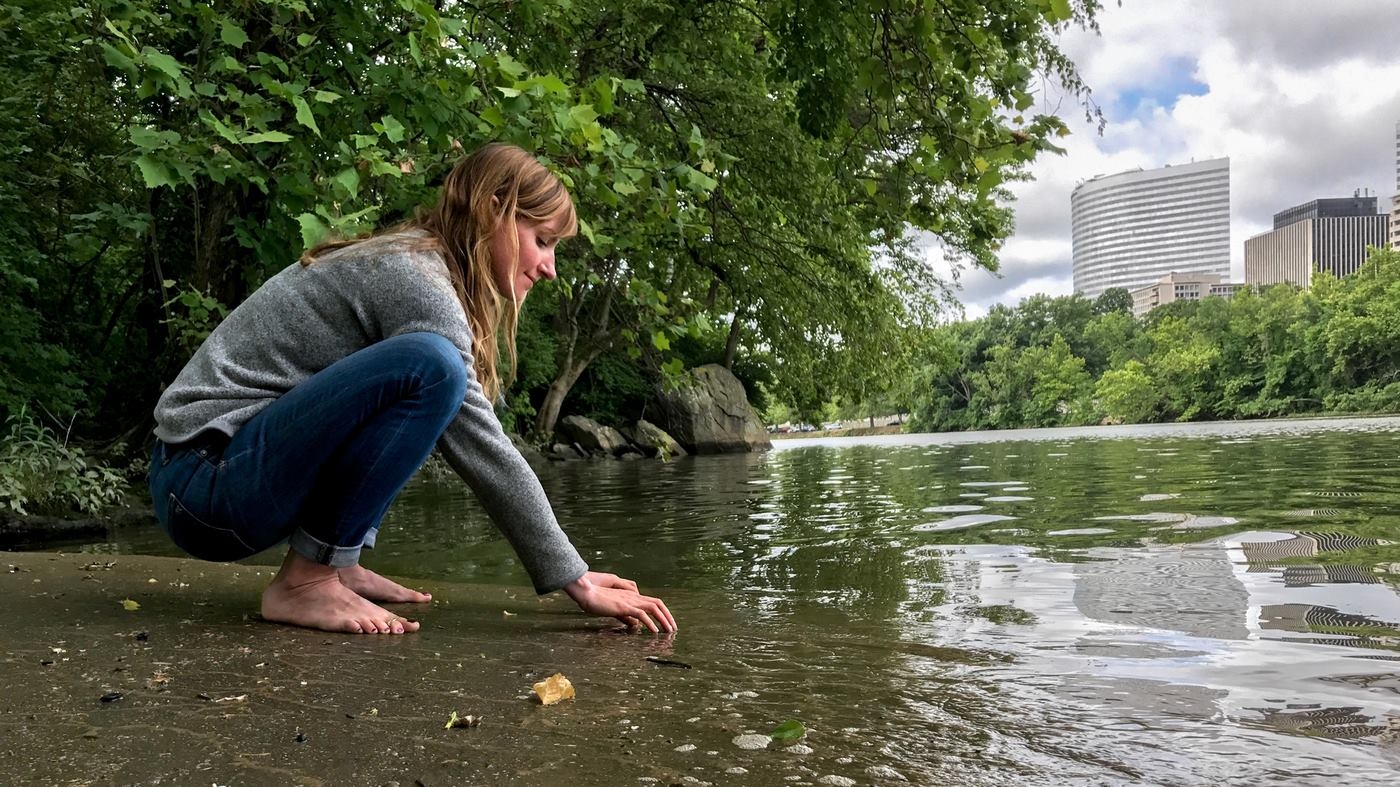 Forest Bathing: A Retreat To Nature Can Boost Immunity And Mood